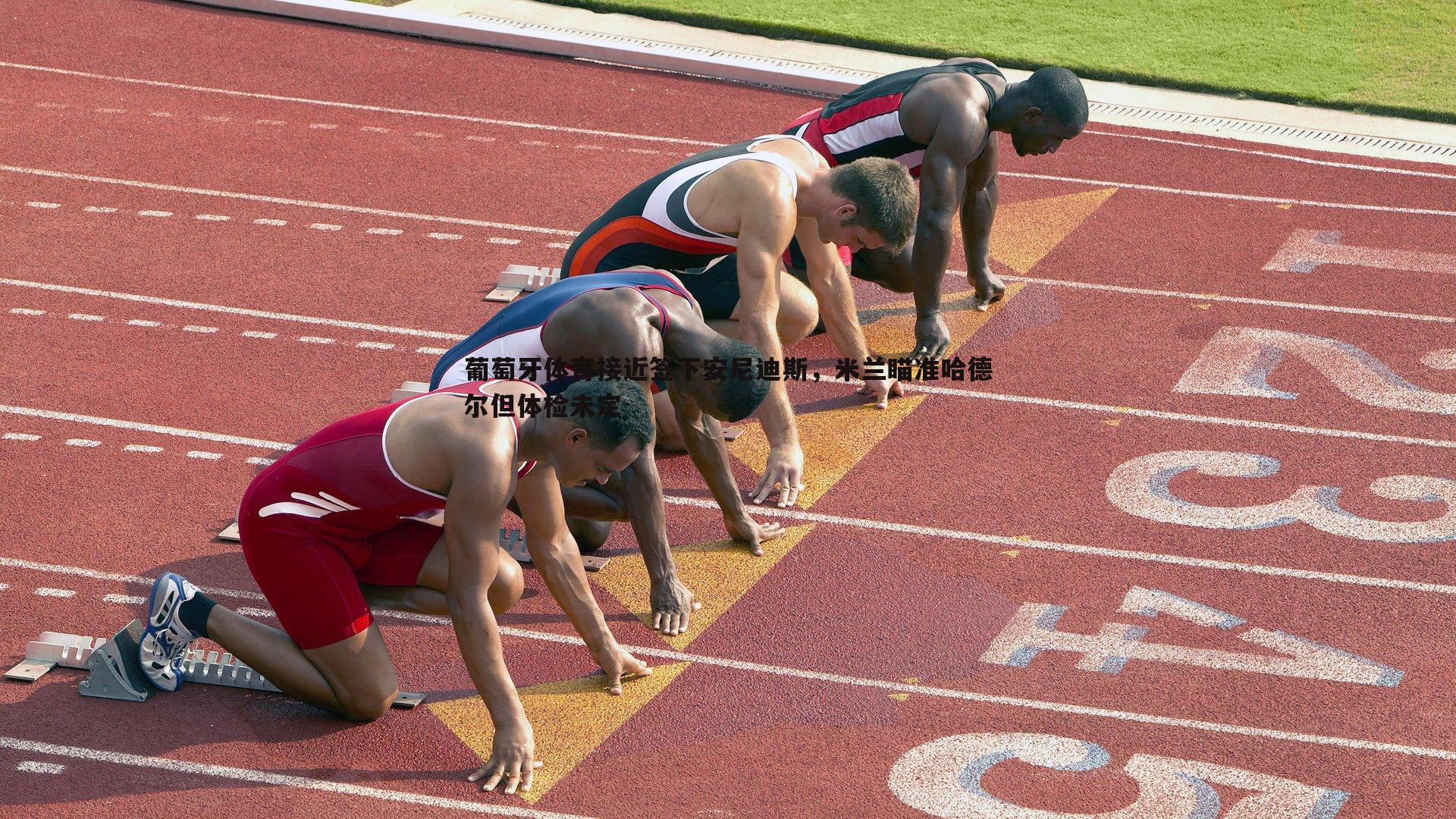 速雷体育-葡萄牙体育接近签下安尼迪斯，米兰瞄准哈德尔但体检未定